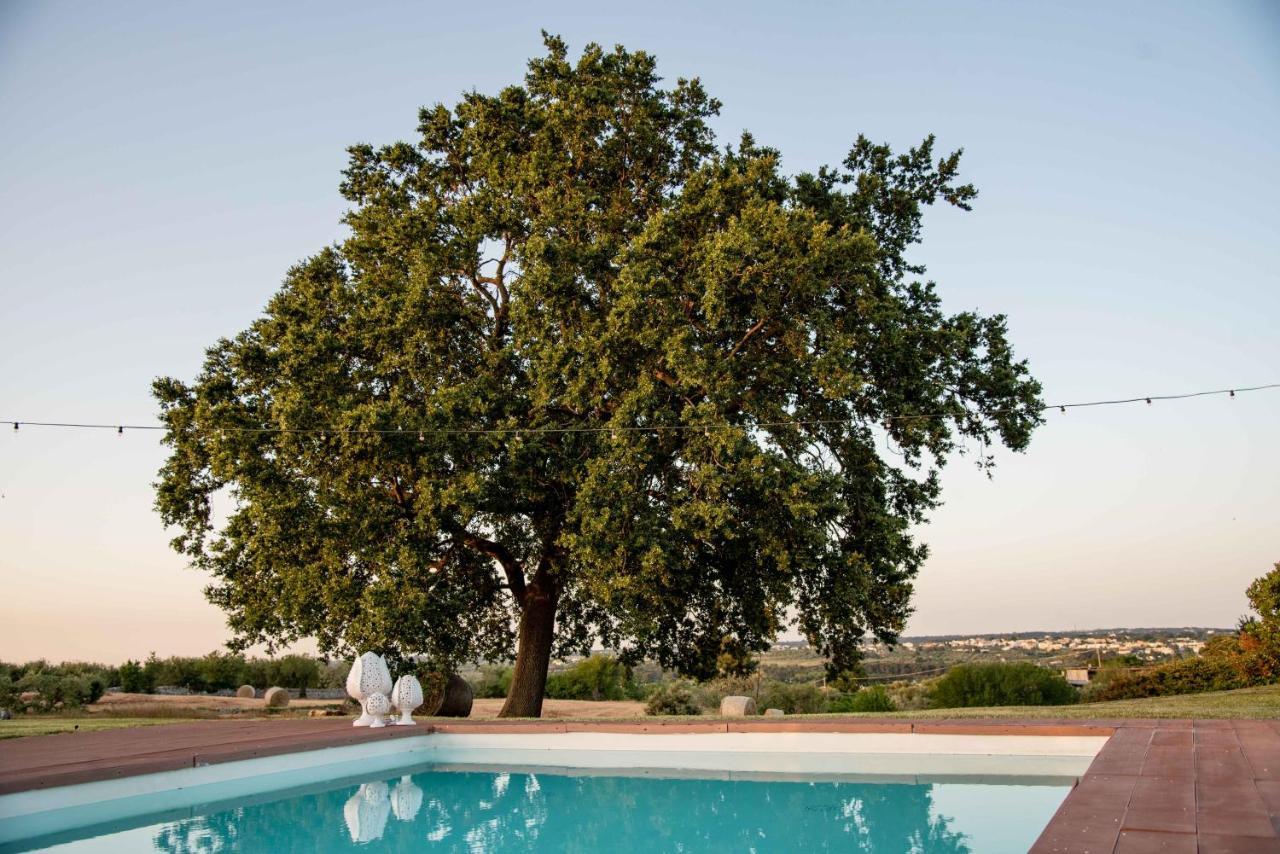 Trulli Paparale Alberobello Zewnętrze zdjęcie